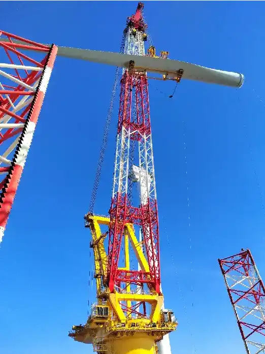 Leg Encircling Crane Main hook double hook design